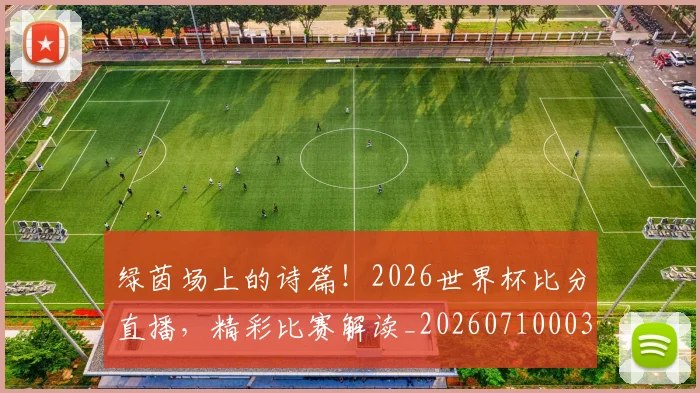 绿茵场上的诗篇!2026世界杯比分直播,精彩比赛解读_20260710003734