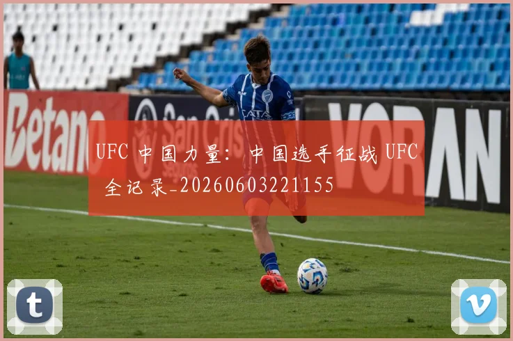 UFC 中国力量：中国选手征战 UFC 全记录_20260603221155