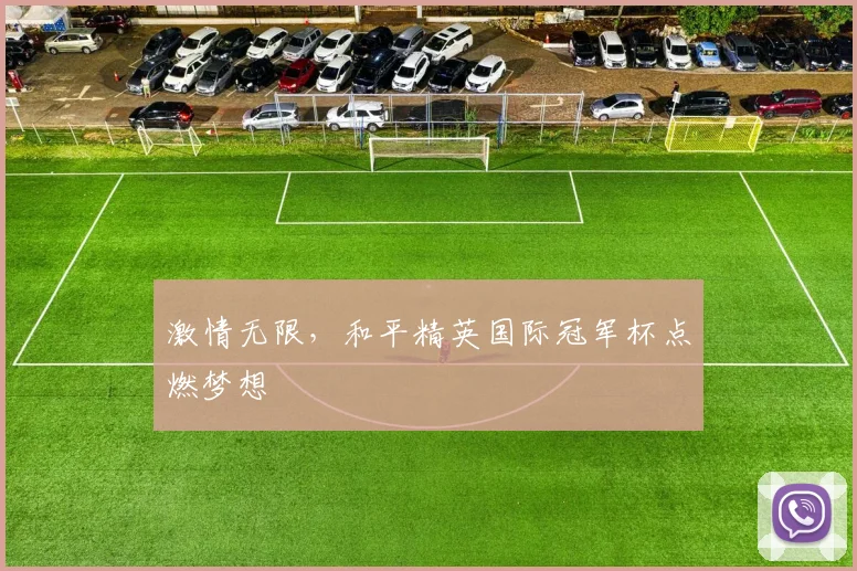 激情无限,和平精英国际冠军杯点燃梦想