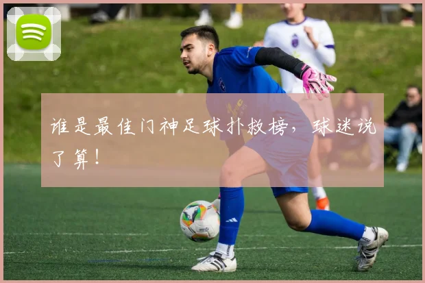 谁是最佳门神足球扑救榜,球迷说了算!