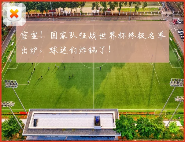 官宣！国家队征战世界杯终极名单出炉，球迷们炸锅了！